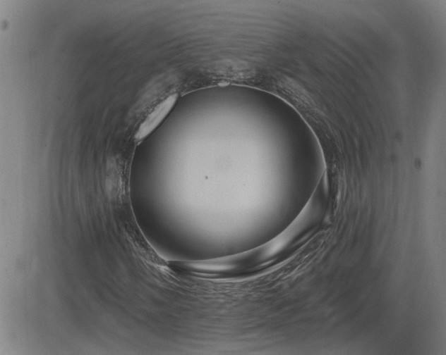 X0000083051058200702021213