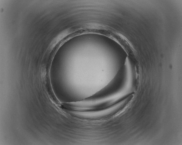 X0000083051065200702021212