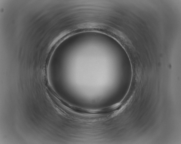 X0000083051073200702021212
