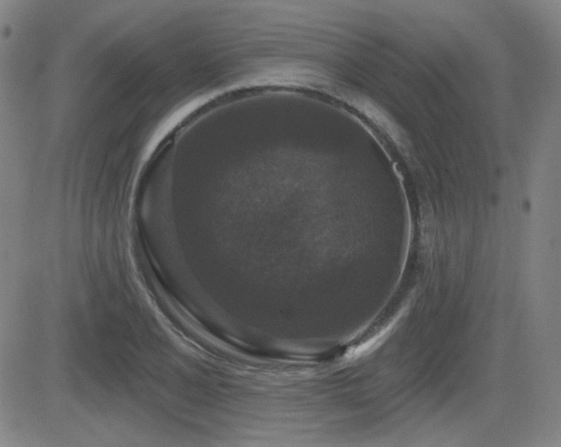 X0000083051077200702021212