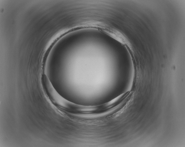 X0000083051093200702021212