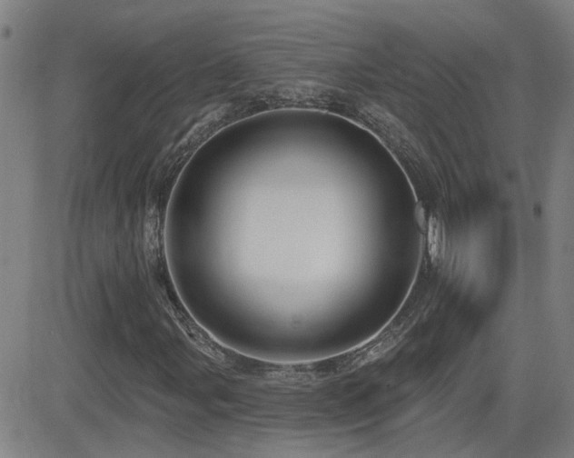 X0000083051107200702021211