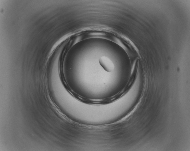 X0000083051114200702021211