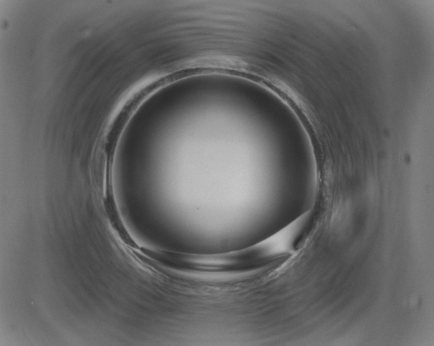 X0000083051123200702021211