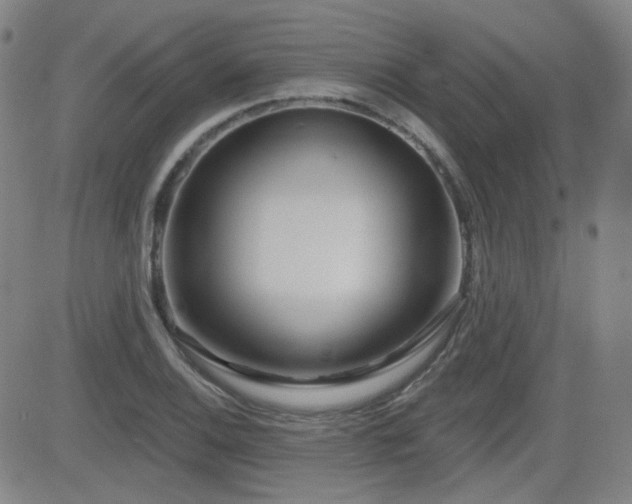 X0000083051124200702021211