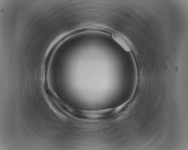 X0000083051128200702021211