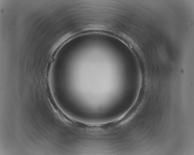 X0000083051129200702021211