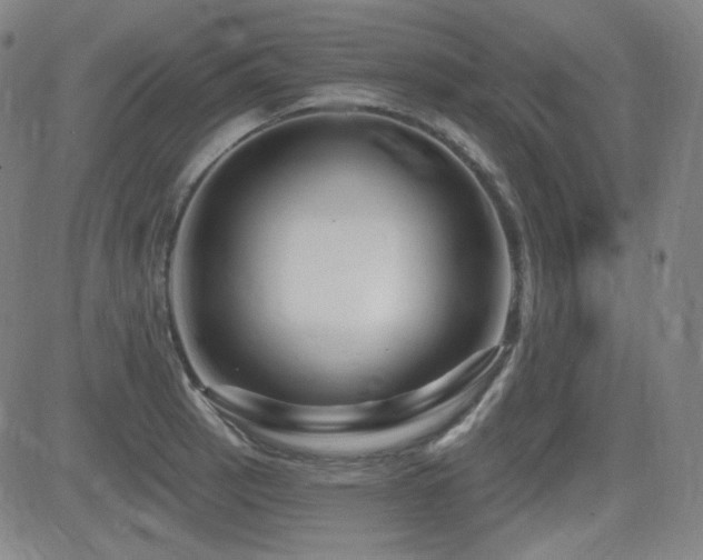 X0000083051137200702021212