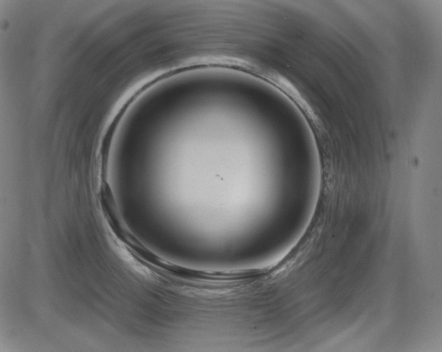 X0000083051140200702021212