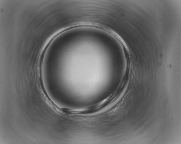 X0000083051148200702021212
