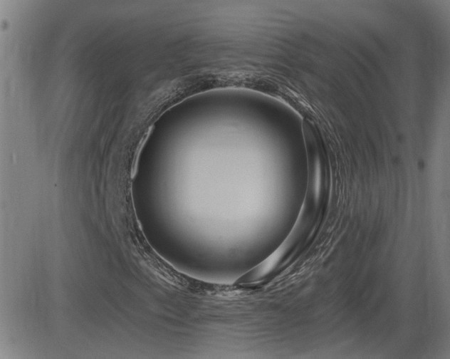 X0000083051153200702021211