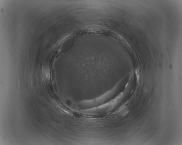 X0000083051155200702021211