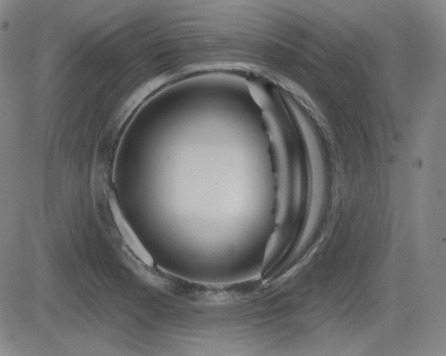 X0000083051177200702021211