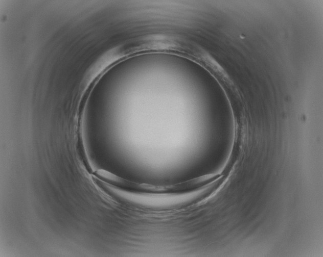 X0000083051178200702021211