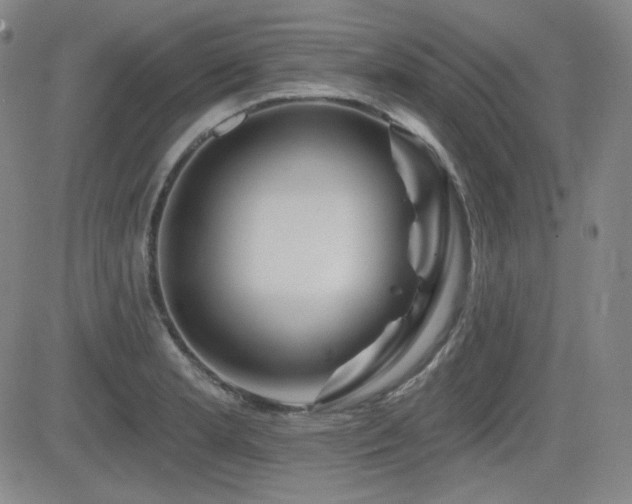 X0000083051181200702021211