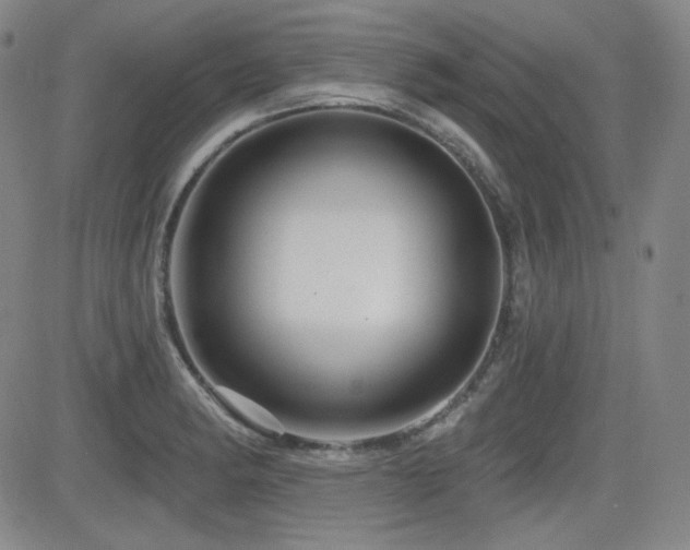 X0000083051182200702021211