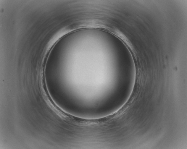 X0000083051187200702021210