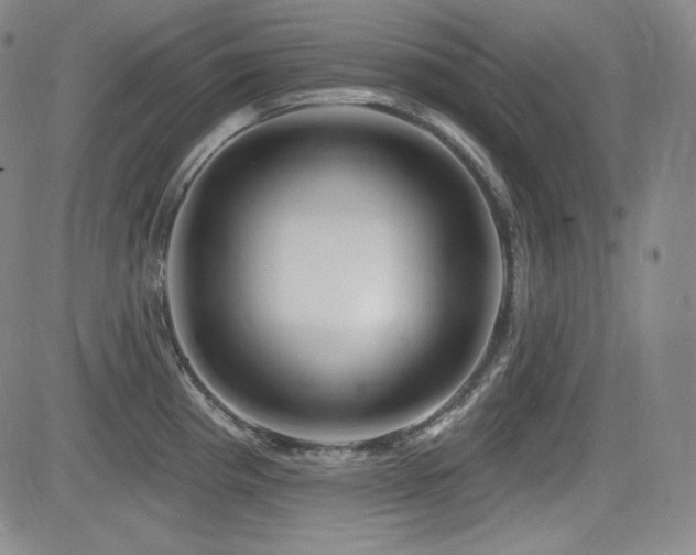 X0000083051193200702021210