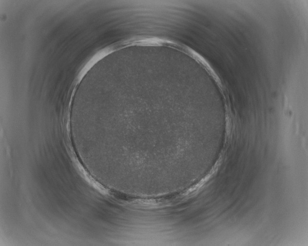 X0000083051194200702021210