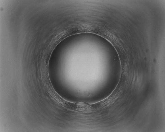 X0000083051201200702021209