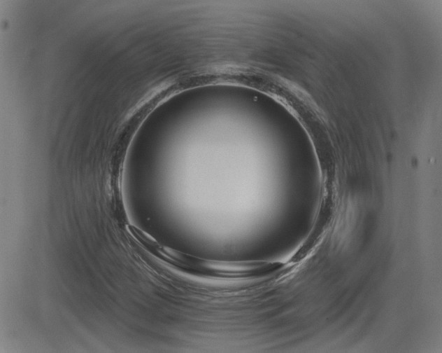 X0000083051209200702021210