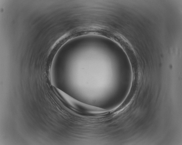 X0000083051210200702021210