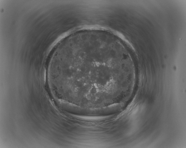 X0000083051221200702021210