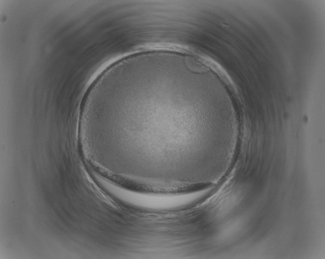 X0000083051228200702021210