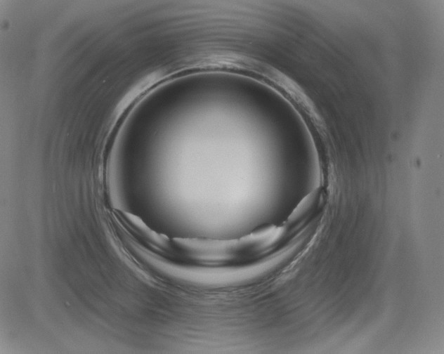 X0000083051234200702021210