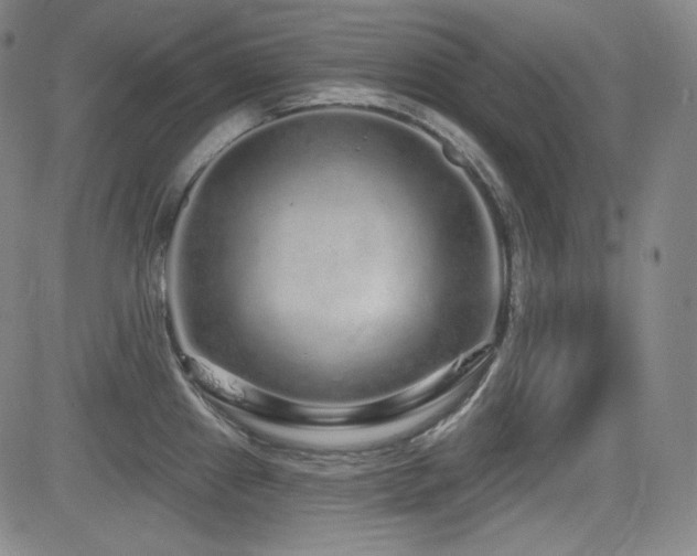 X0000083051241200702021210