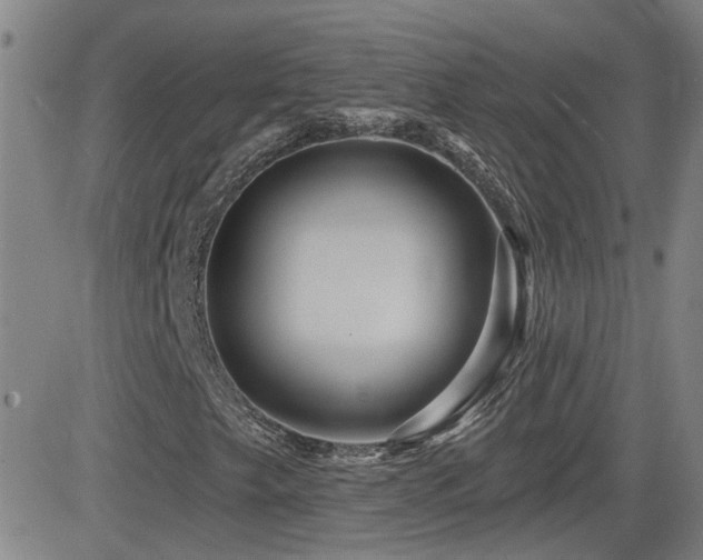 X0000083051249200702021209