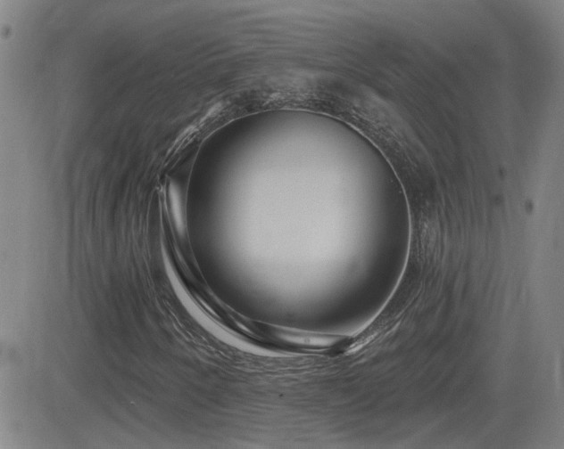 X0000083051250200702021209