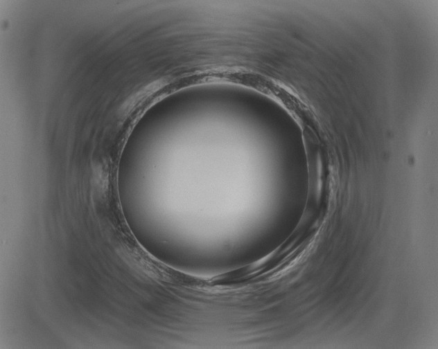 X0000083051257200702021209