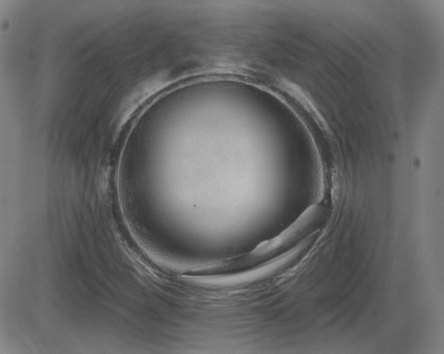 X0000083051260200702021209