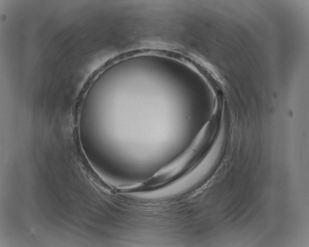 X0000083051264200702021209