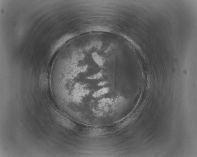X0000083051266200702021209