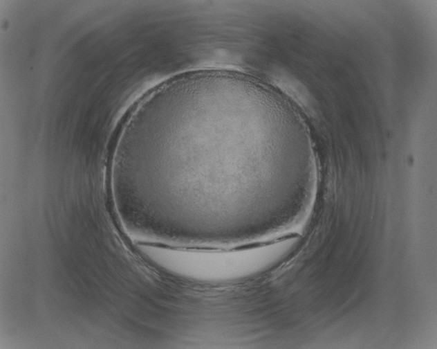X0000083051268200702021209