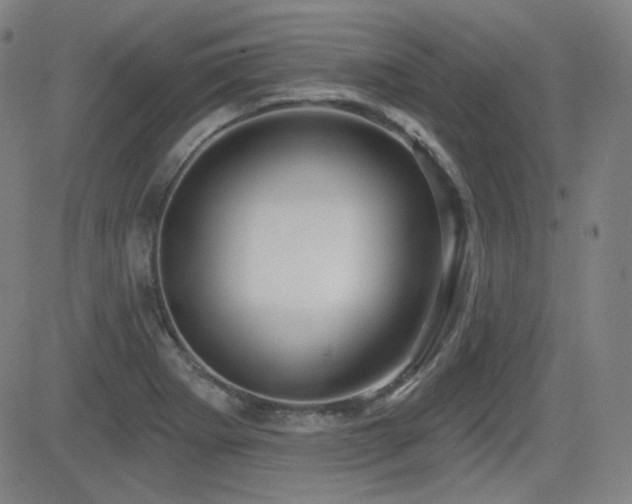X0000083051273200702021209