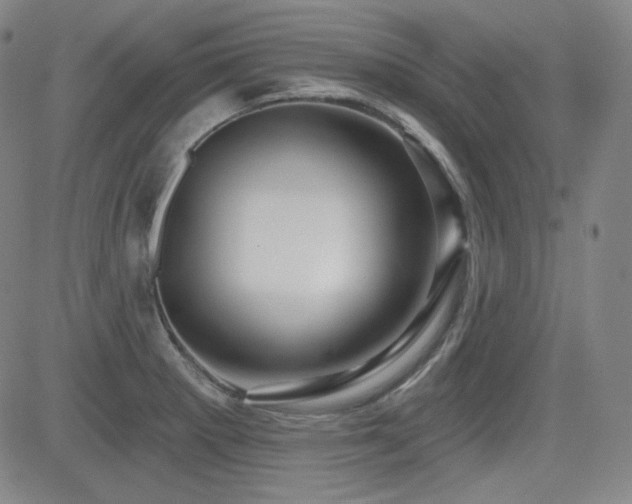 X0000083051281200702021209