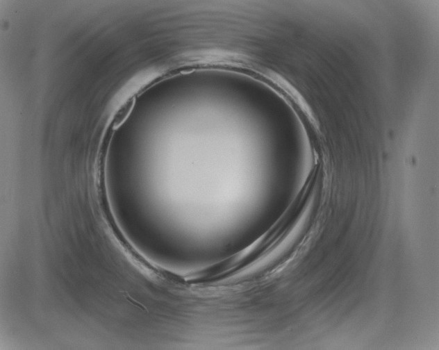 X0000083051285200702021209