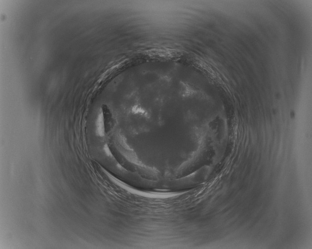 X0000083051297200702021208