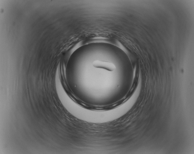 X0000083051298200702021208