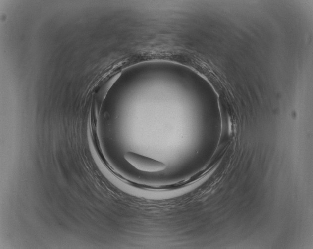 X0000083051300200702021208