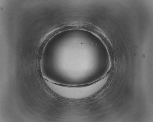 X0000083051304200702021208