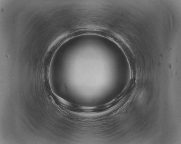X0000083051307200702021208