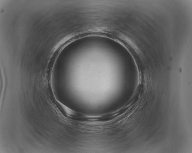 X0000083051308200702021208