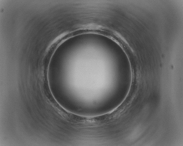 X0000083051315200702021208