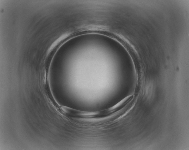 X0000083051317200702021208