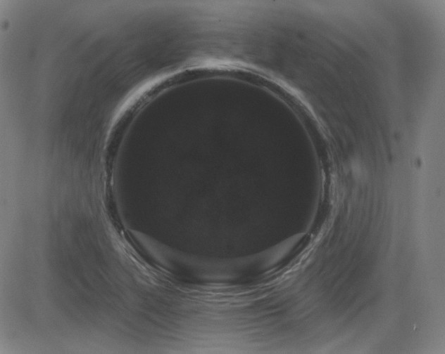 X0000083051319200702021208