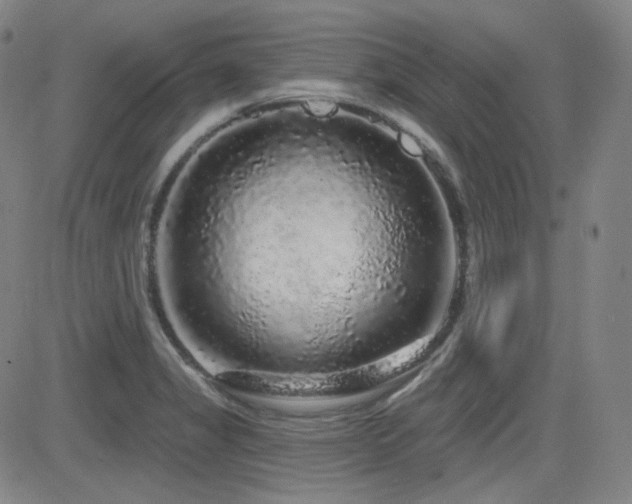 X0000083051325200702021208